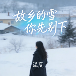 故乡的雪你先别下