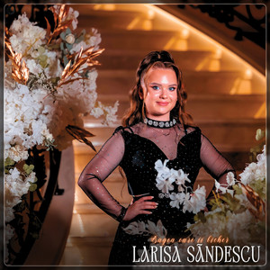 Bagea Care Ii Bicher