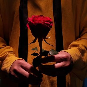 我是嘻嘻9月17生快 - 【读】致橡树-舒婷-嘻嘻