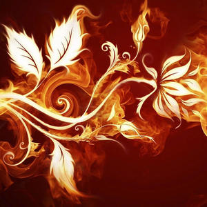 butterflys (Explicit)