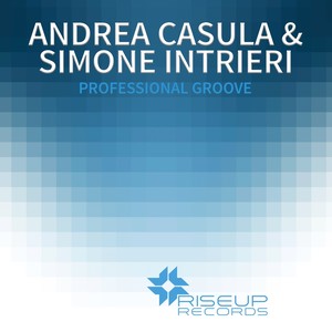 Professional Groove (Alternative Mix)