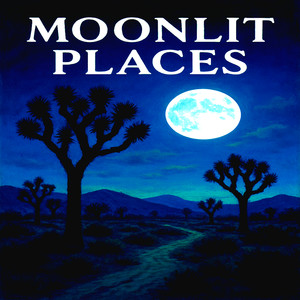 Moonlit Places