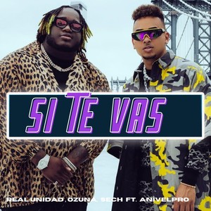 Si Te Vas (feat. Anivelpro)