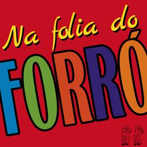 Na Folia do Forró, Vol. 2