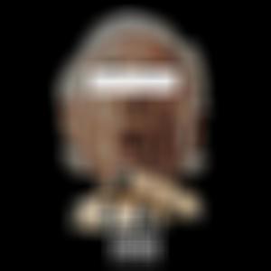 BRICK FLAIR (feat. Hood Da Mayor & Tek (of Smif-N-Wessun)) (Explicit)