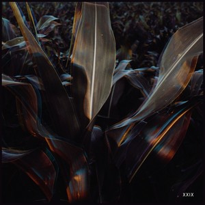 Wonky (El Mundo's Children Rework)