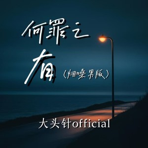 大头针 Official - 何罪之有 (烟嗓男版)
