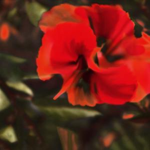 Red Crown