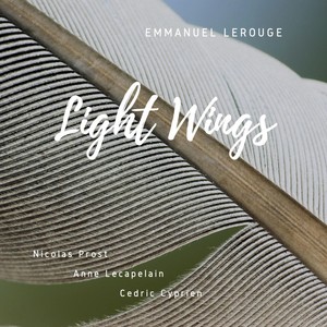 Light Wings