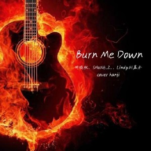 SHaNE_Z - Burn Me