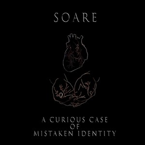 A Curious Case of Mistaken Identity (Explicit)