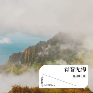 任朝暮 - DJ小新封面