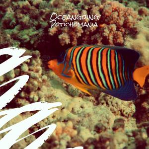 Oceangoing Potichomania