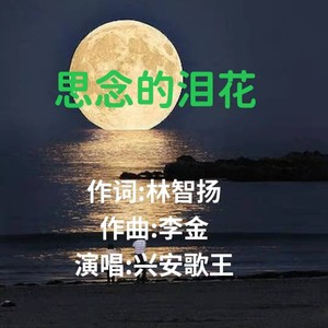 思念的泪花