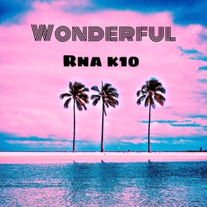 Wonderful (Explicit)