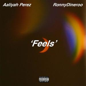 Feels (feat. RonnyDineroo) [Explicit]
