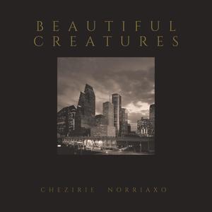 Beautiful Creatures (feat. NORRIAxo)