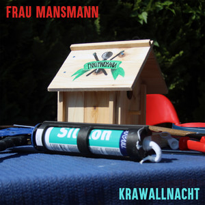 Krawallnacht