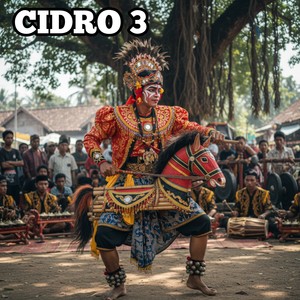 CiDRO 3