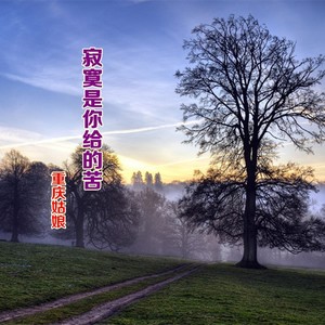 寂寞是你给的苦 (Demo)