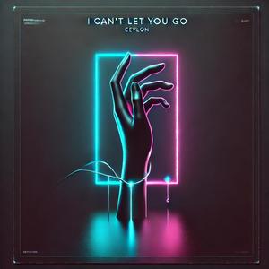 I can't let you go (Radio Edit)