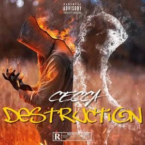 Destruction (feat. Cecca)