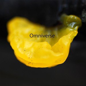 Omniverse