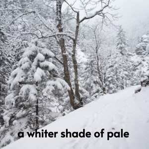 A Whiter Shade of Pale