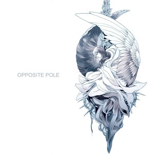 Opposite Pole