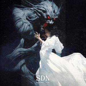 Sdn