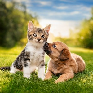 Tomando El Sol Suavemente