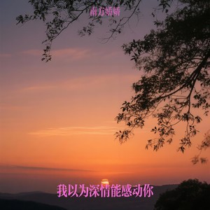 我以为深情能感动你
