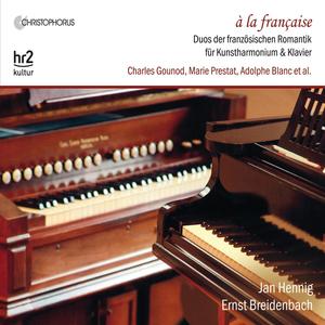 Sonata for Piano & Harmonium, Op. 55: I. Allegro