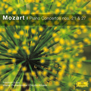 Piano Concerto No. 21 in C Major, K. 467 - II. Andante (C大调第21号钢琴协奏曲，作品467 - 第二乐章 行板)