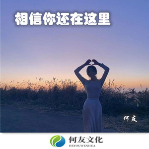 不后悔遇见你 (DJ版)