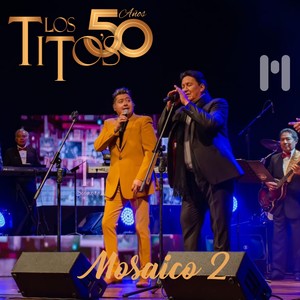 50 Años Mosaico 2