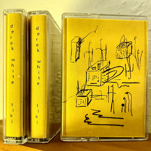 island birds coping with wifi