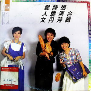 失落的回忆 (黑胶版)