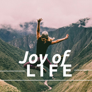 Joy of Life