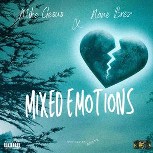 Mixed Emotions(feat. Nane brez) (Explicit)