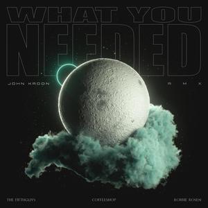 What You Needed (John Kroon Remix)