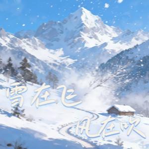 雪在飞 风在吹 (深情版)封面