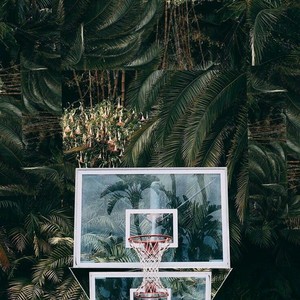 Jungle Fever (Explicit)