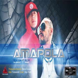 Amapola faturin kch.