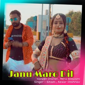 Janu Maro Dil (feat. Ganpat Charan, Rena Goswami, Sitam & Kesar Vaishnav)