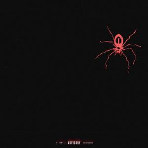 SPIDER (Explicit)