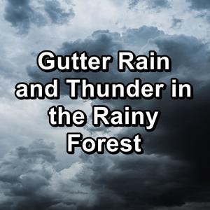 Rain For Quiet Nights in the Evening