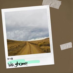 Way  home