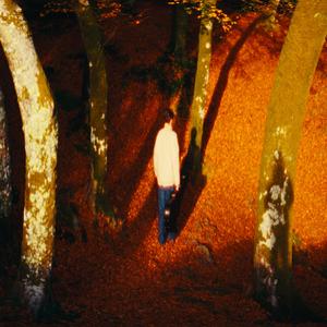 Heaven (feat. Shakkalo & Taryn Everdeen)