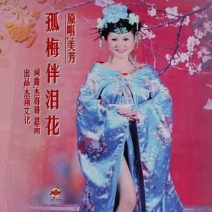 孤梅伴泪花